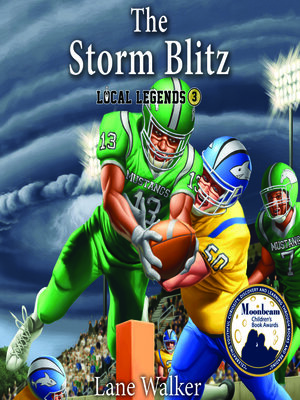 cover image of The Storm Blitz